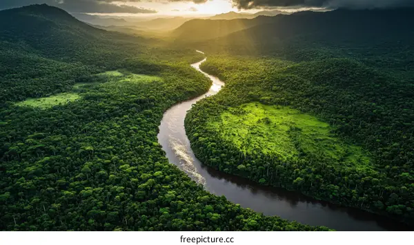 Aerial View of Winding River Through Lush Rainforest