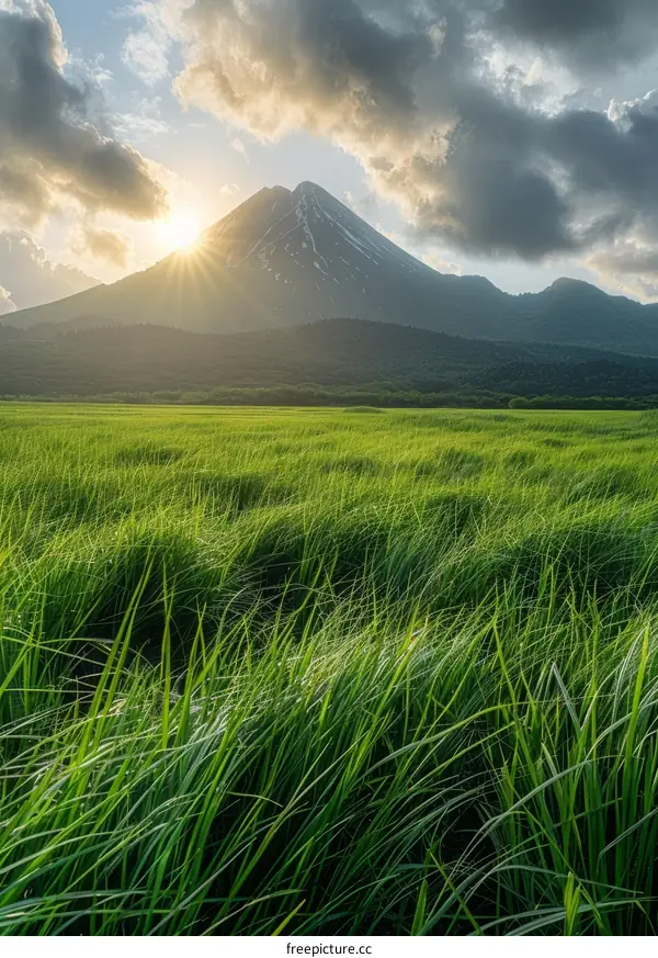 Green Grass Field With Mountain In The Distance