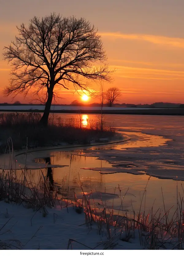 sunset over frozen lake with tree and reeds in foreground