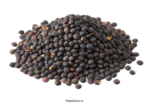 [Transparent Background PNG]Pile of Black Lentils Close-up