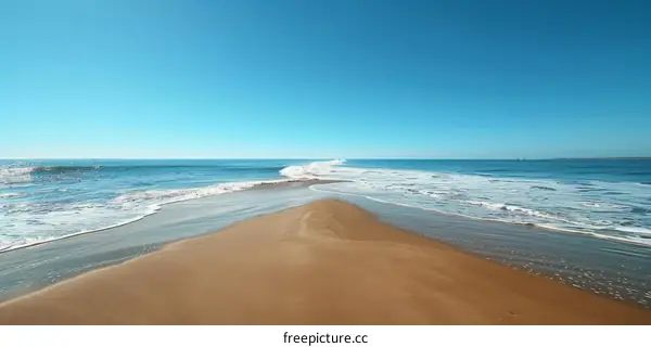 Ocean Sandbar: A Tropical Paradise