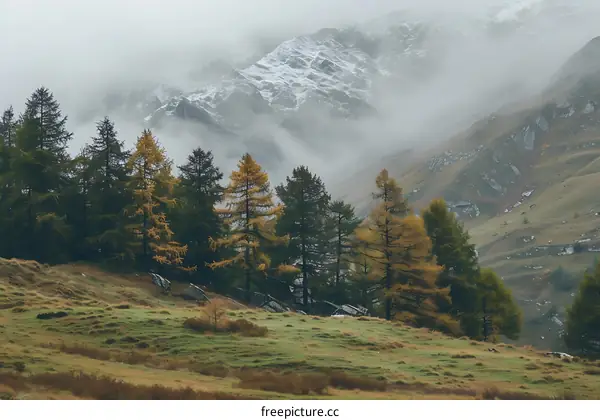 Misty Mountain Landscape With Snow And Trees