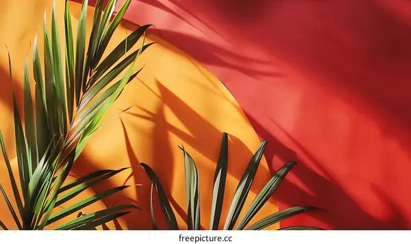 Tropical Leaf Shadows on Yellow and Red Background