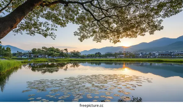 Serene Sunrise Over a Village Pond