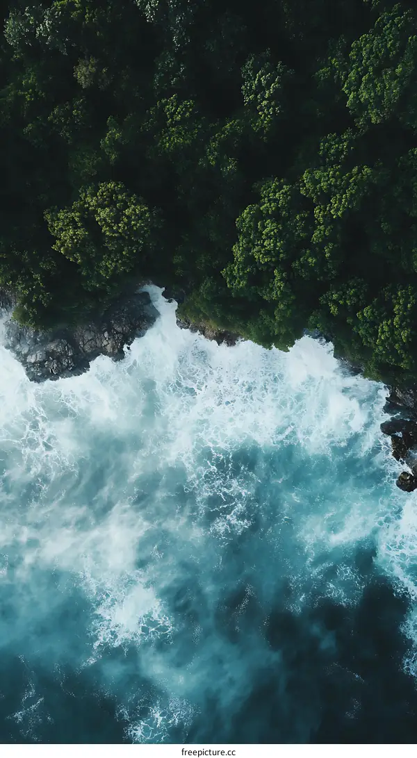 Aerial View of Ocean Waves Crashing on a Rocky Coastline with Lush Green Forest