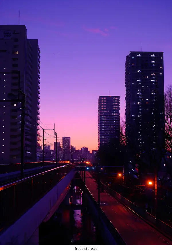 Purple city night