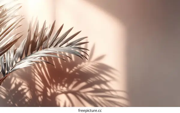 Palm Leaf Shadows on a Pastel Pink Wall