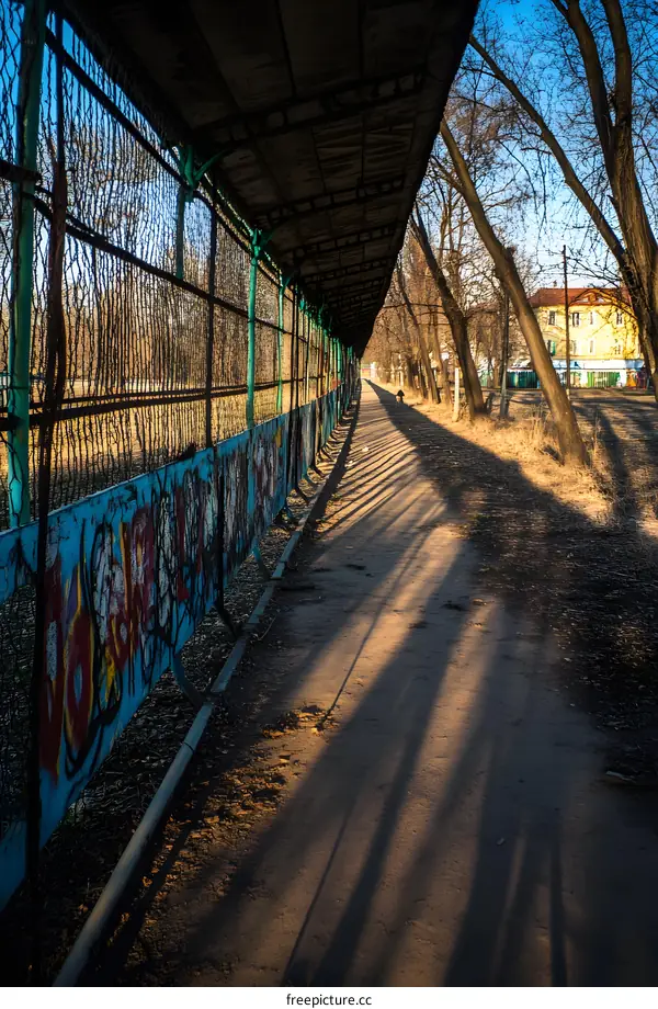 Graffiti Covered Fence Along a Pathway with Trees and Shadows