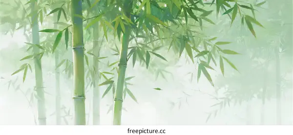 Bamboo forest with green leaves in misty natural setting