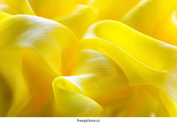 Yellow Fabric Texture Close Up