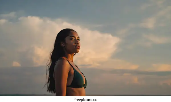 Woman in Bikini at Sunset Beach Scene