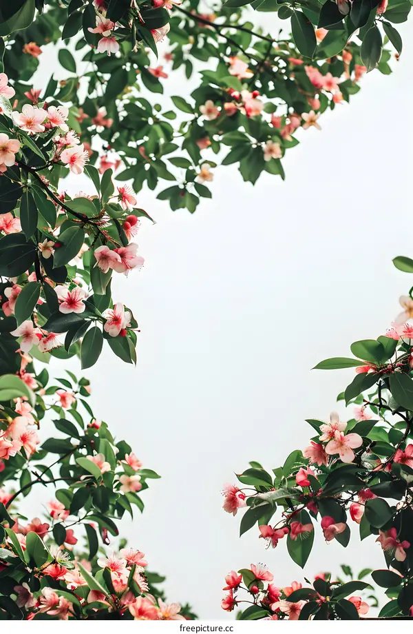 Pink Flowers Frame With Green Leaves And White Background