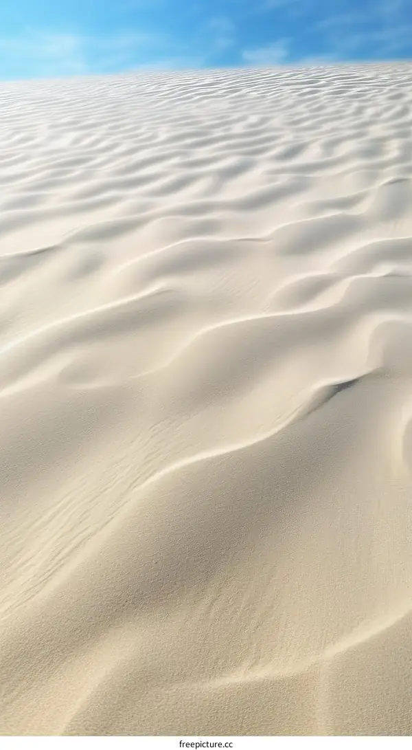 A vast expanse of sand dunes under a clear blue sky