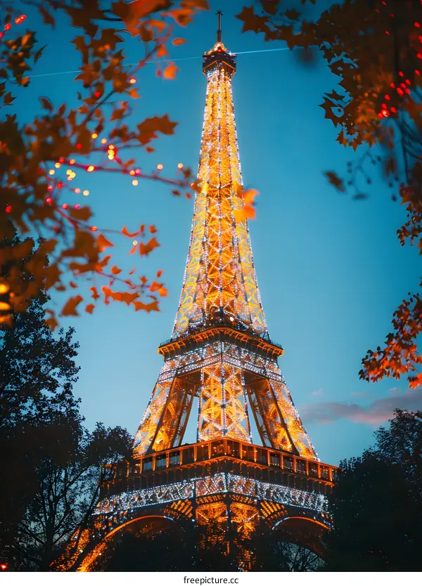 The Eiffel Tower At Night In Paris