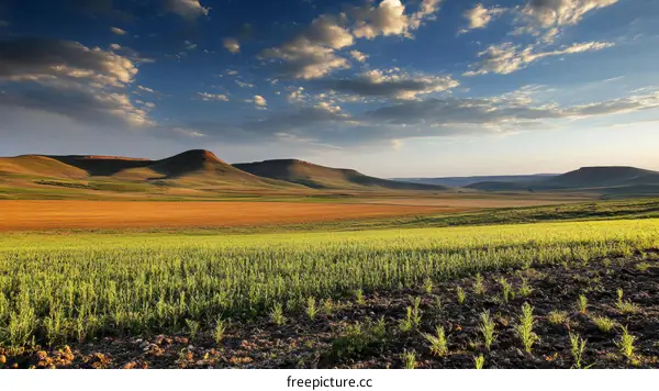 Beautiful Countryside Landscape at Sunrise