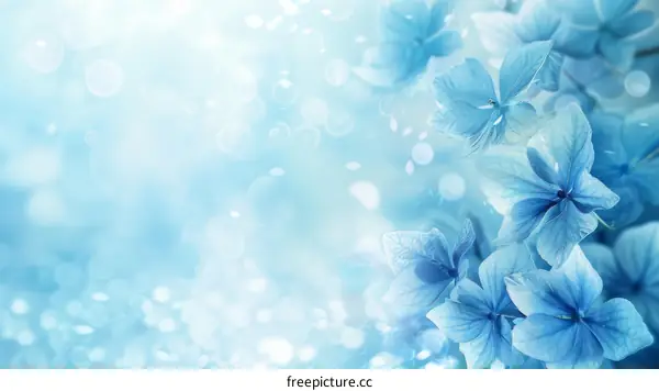 Light Blue Hydrangea Petals and Bubbles