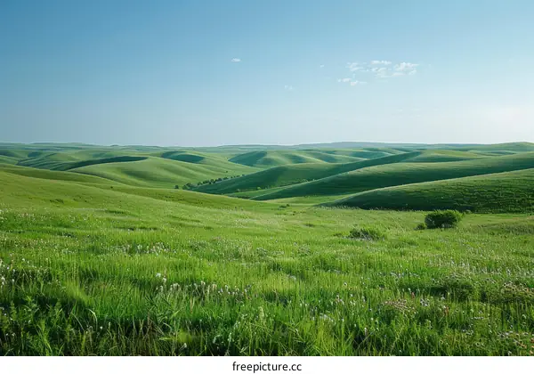 Rolling Green Hills Under a Blue Sky