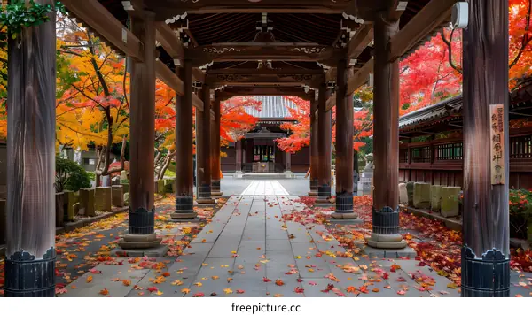 Autumn Leaves Path Through Japanese Temple Gate