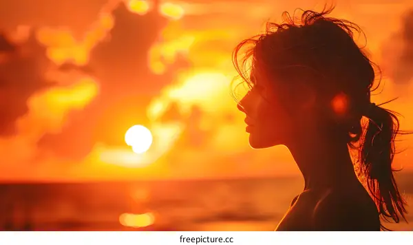 Silhouette of Woman With Sunset in the Background