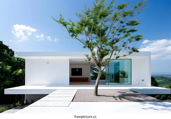 Minimalist White House with Large Glass Windows and a Tree in the Front Yard