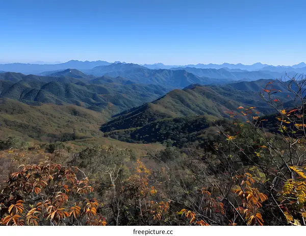 mountain range landscape with colorful autumn foliage