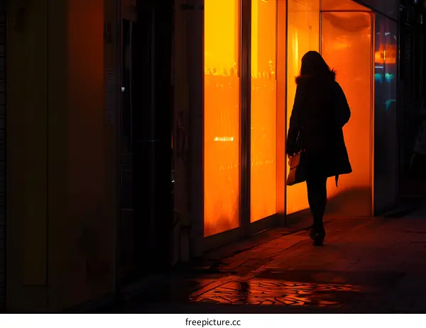 Woman Walking Past Illuminated Shop Window At Night