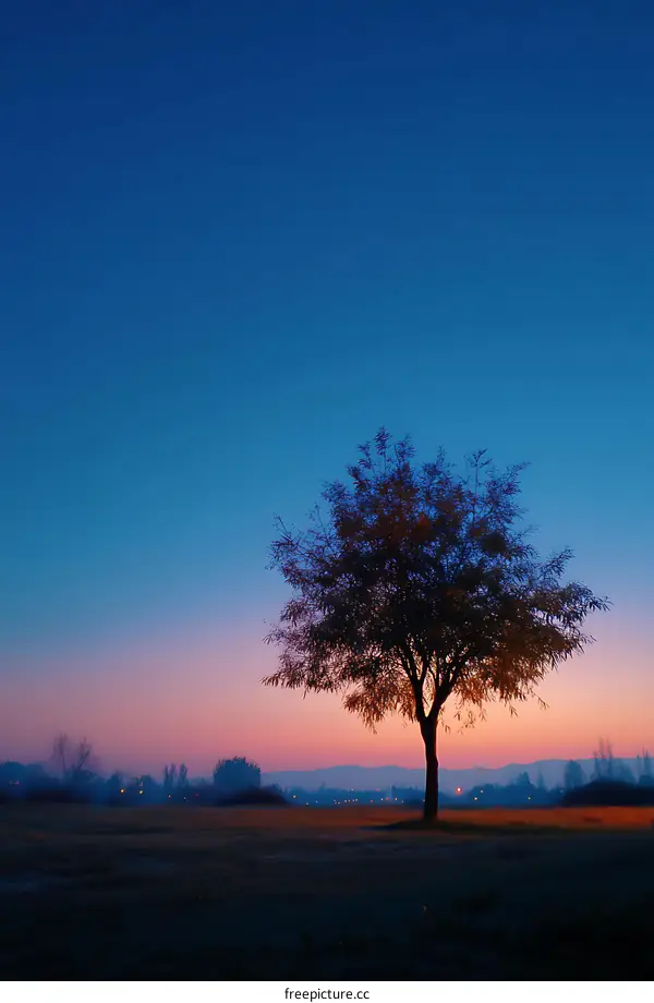 Solitary Tree at Dawn Sunrise Landscape