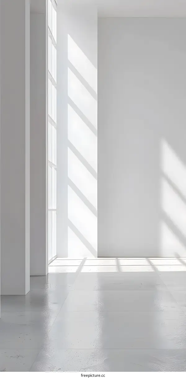 White Room Minimalist Design With Sunlight
