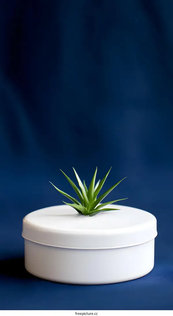 White Container with Small Plant on Top of Blue Background