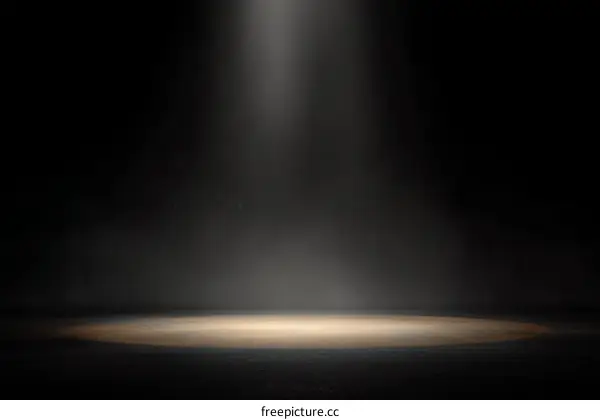Spotlight on Empty Stage