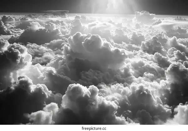 Black and White Clouds from Airplane Window