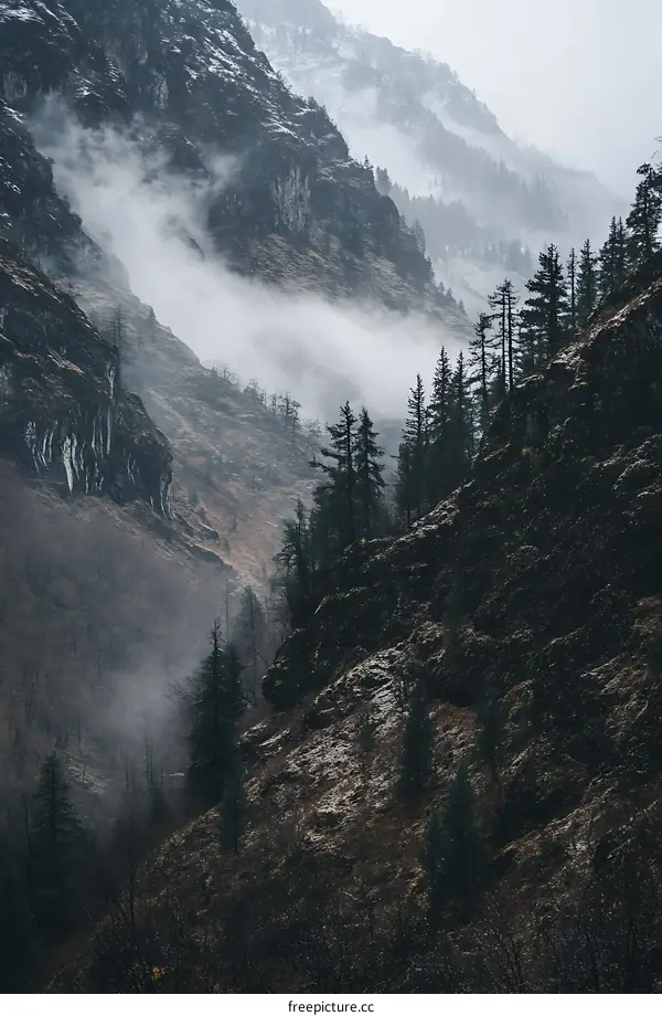 Foggy Mountain Landscape