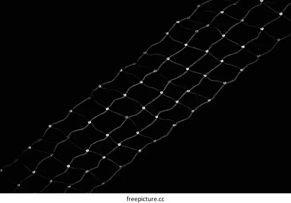 Delicate Rhinestone-Embellished Netting Detail