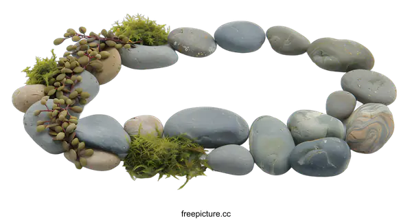 [Transparent Background PNG]Stones, Moss, and Succulents Arranged in a Circle on White Background