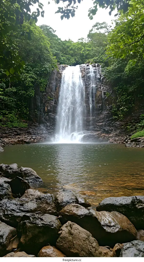 Waterfall in a Lush Green Forest