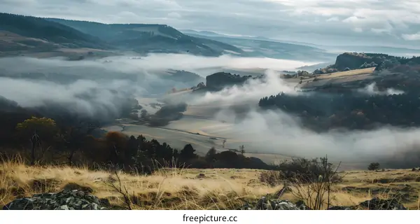Misty Morning in a Valley with Rolling Hills
