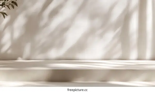 Minimalist Beige Display Stand with Natural Light