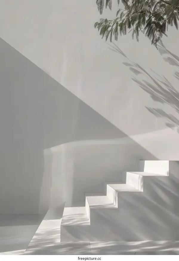 White Stairs And Shadows Minimalist Architectural Design