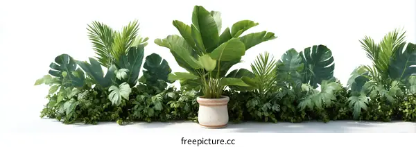 Tropical Plants Arrangement Illustration