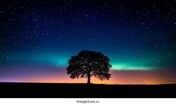 Starry Night Sky with Silhouetted Tree