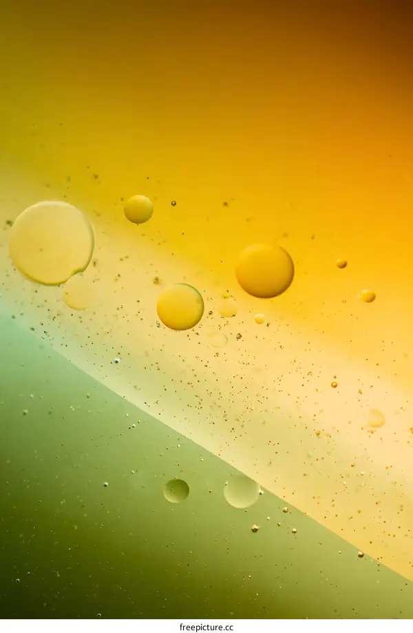 Abstract Colorful Oil and Water Mixture