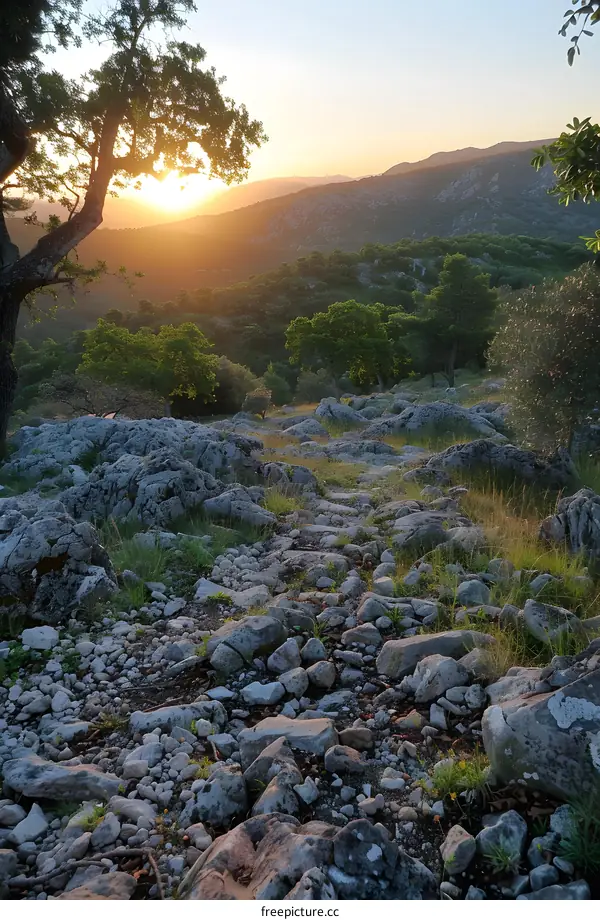 Rocky trail leading into the sunset