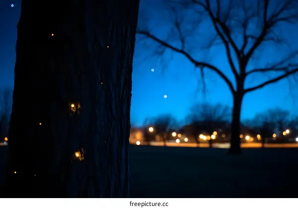 Dark Tree Silhouette Against Blue Twilight Sky