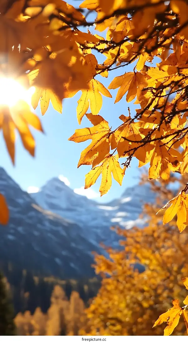 Golden Leaves Against Mountain and Blue Sky
