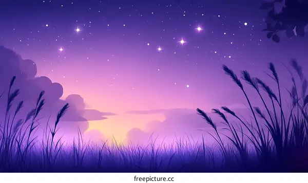 Purple Evening Sky Over Grassy Meadow