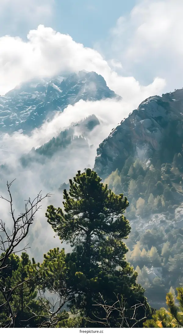 Mountain Range With Clouds And Trees
