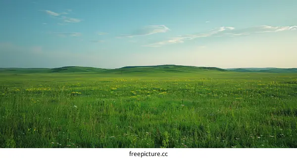 Green Grass Field Under Blue Sky