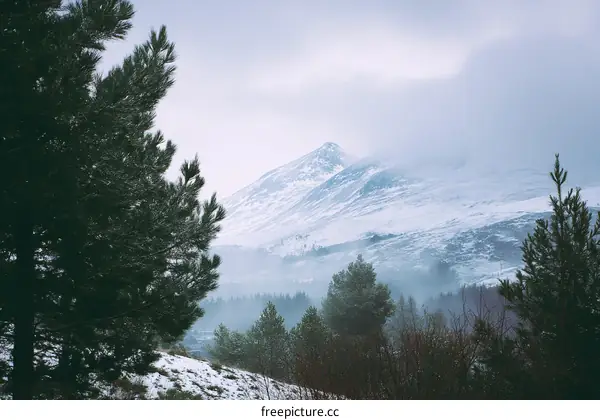 Winter Mountain Landscape with Snowy Peaks
