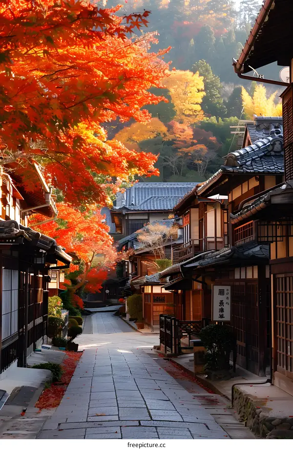 A traditional Japanese street with colorful autumn leaves