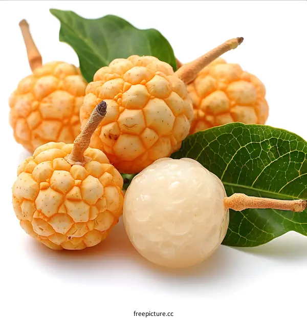 rambutan exotic tropical fruit